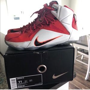 Nike LeBron 12s